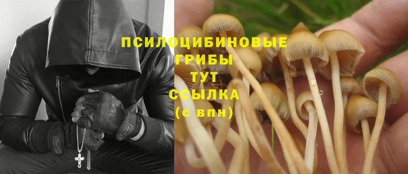 Псилоцибиновые грибы Psilocybe  мега ссылки  Комсомольск-на-Амуре 